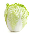 2021 New Harvest Export Natural Fresh Cabbage Export Chinese Cabbage